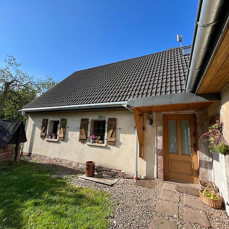 Klimatyczny Dom Kopaczowka Przytulna Miejscowka Z Kominkiem, Sauna I Ogrodem U Podnoza Gor Stolowych Radkow Exterior foto