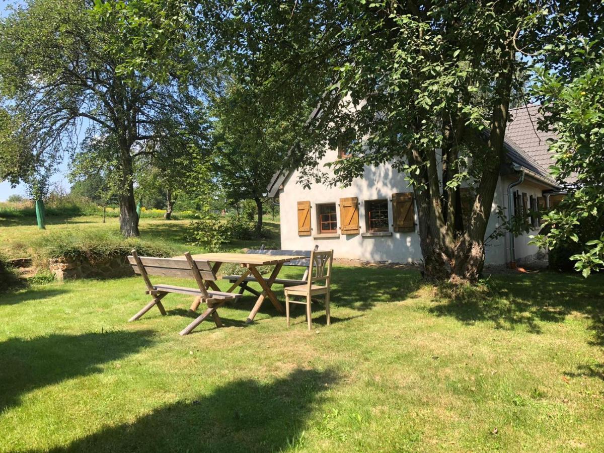 Klimatyczny Dom Kopaczowka Przytulna Miejscowka Z Kominkiem, Sauna I Ogrodem U Podnoza Gor Stolowych Radkow Exterior foto