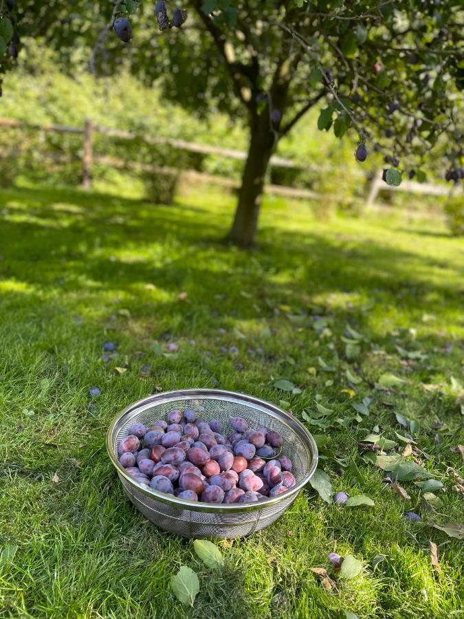 Klimatyczny Dom Kopaczowka Przytulna Miejscowka Z Kominkiem, Sauna I Ogrodem U Podnoza Gor Stolowych Radkow Exterior foto
